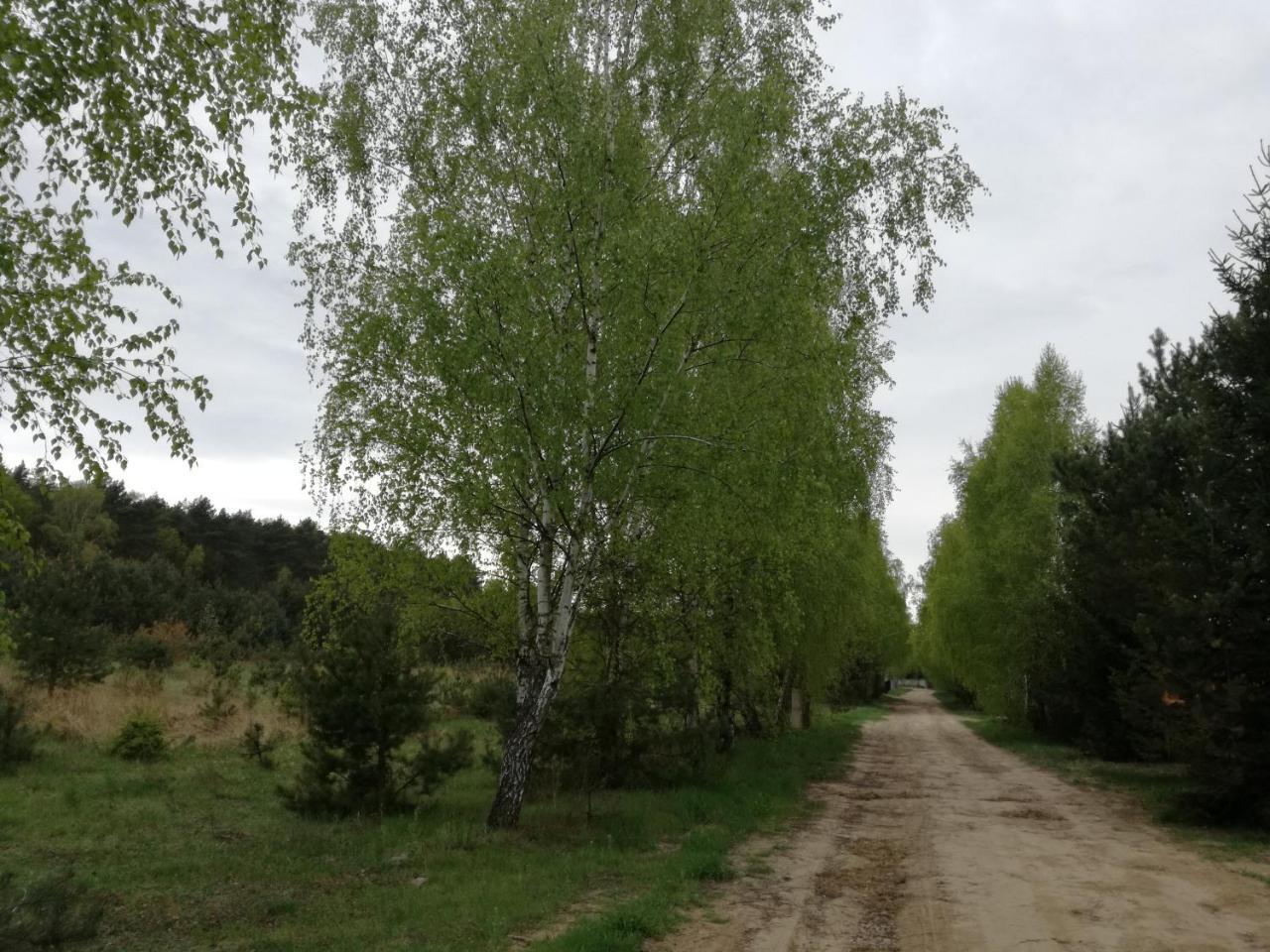 Szydlowiec Anastazewo Kültér fotó